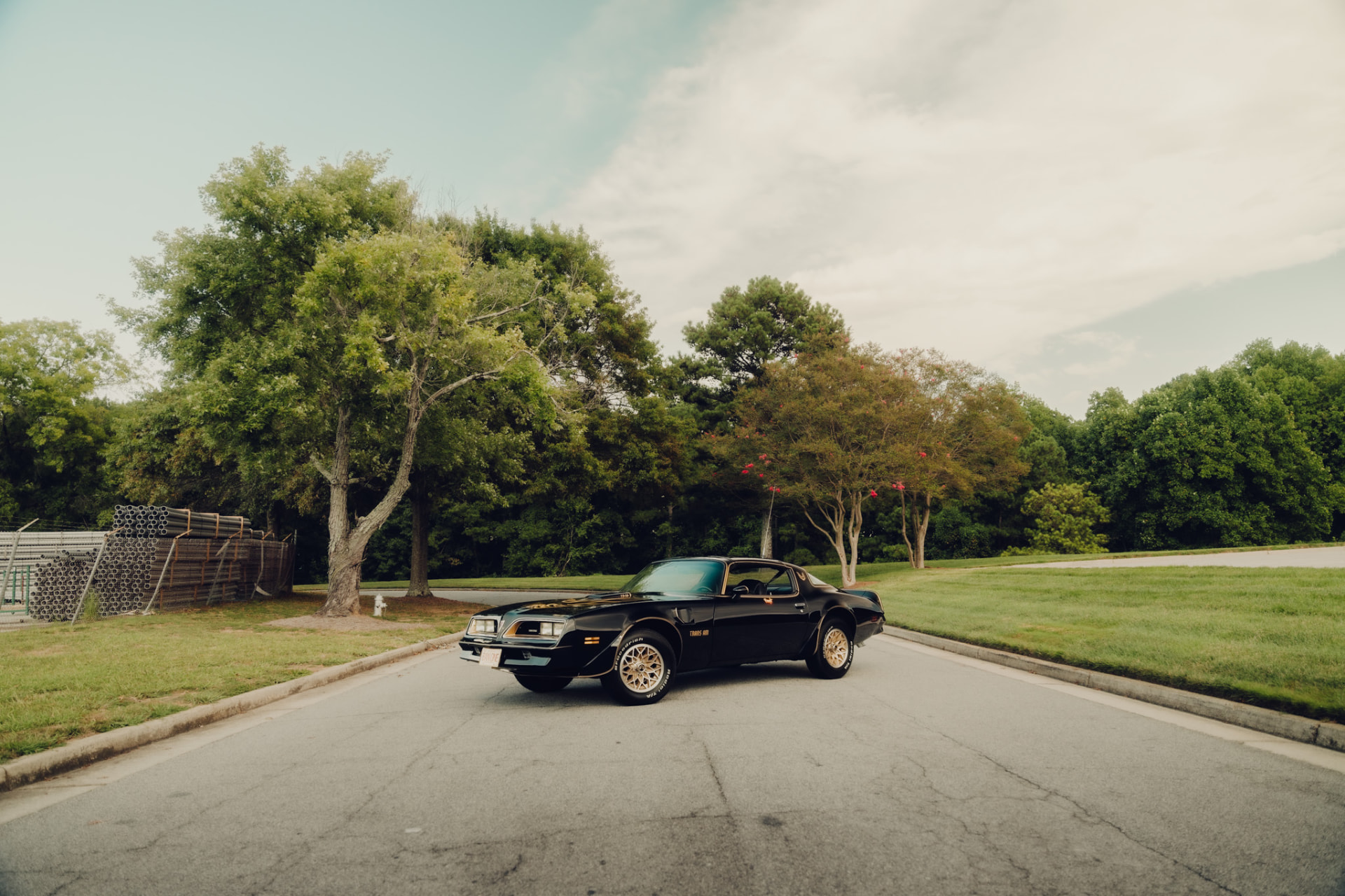Black Pontiac Trans Am parked on a quiet road with a pipe fence and trees behind